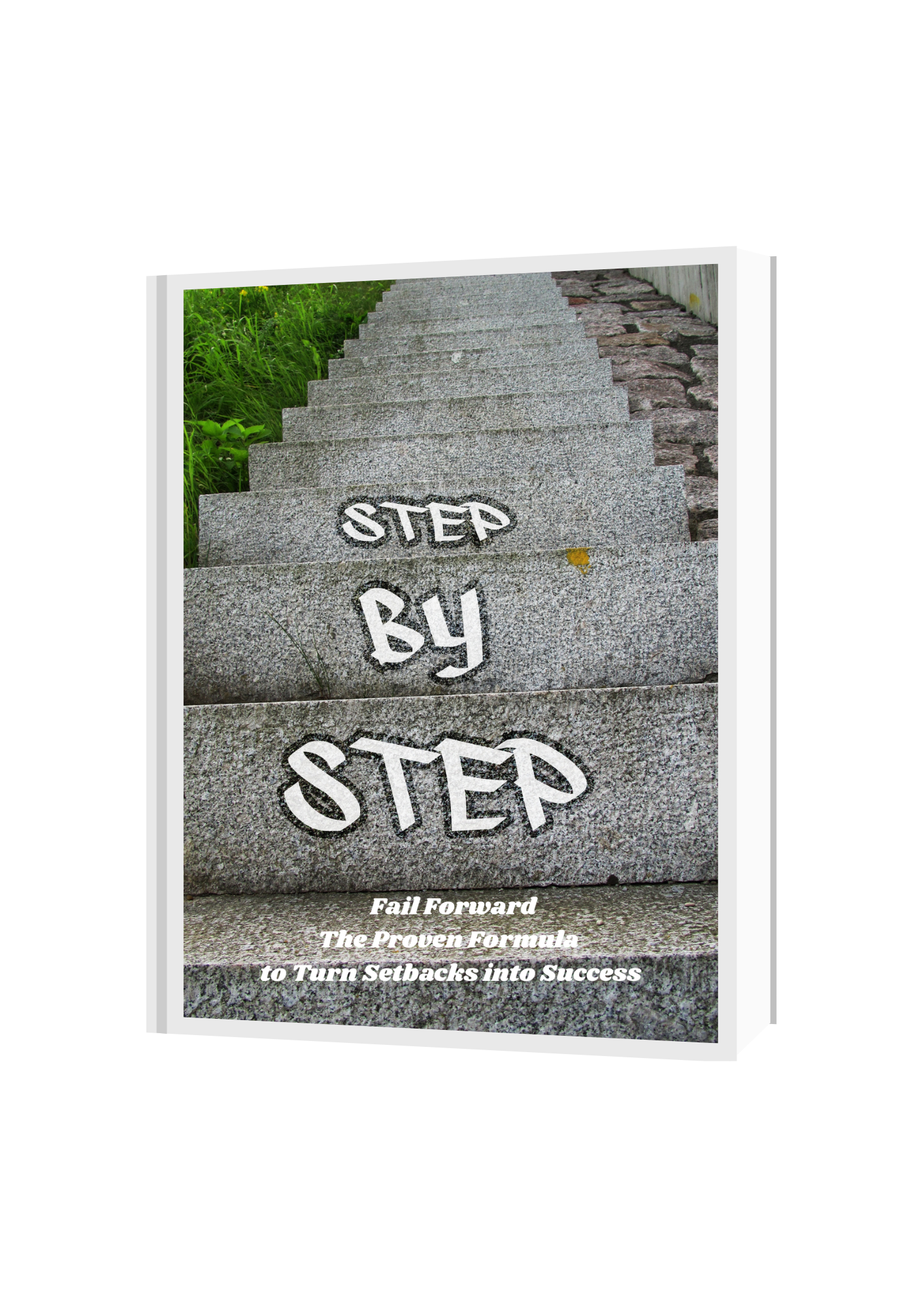Fail Forward: The Proven Formula to Turn Setbacks into Success